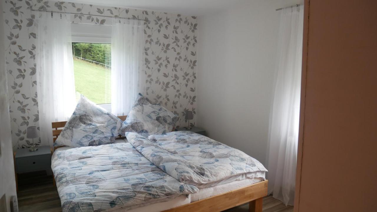 Modernisierte Ferienwohnung Im Schoenen Sauerland Мешеде Екстериор снимка