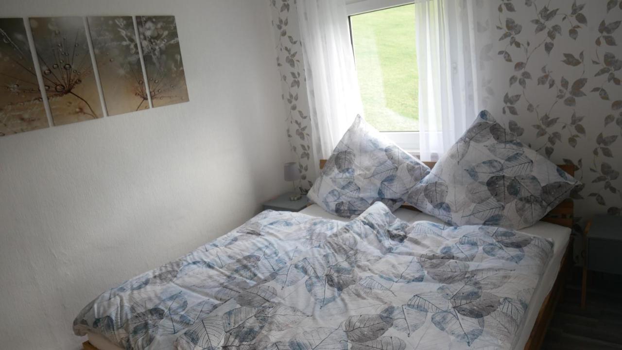 Modernisierte Ferienwohnung Im Schoenen Sauerland Мешеде Екстериор снимка