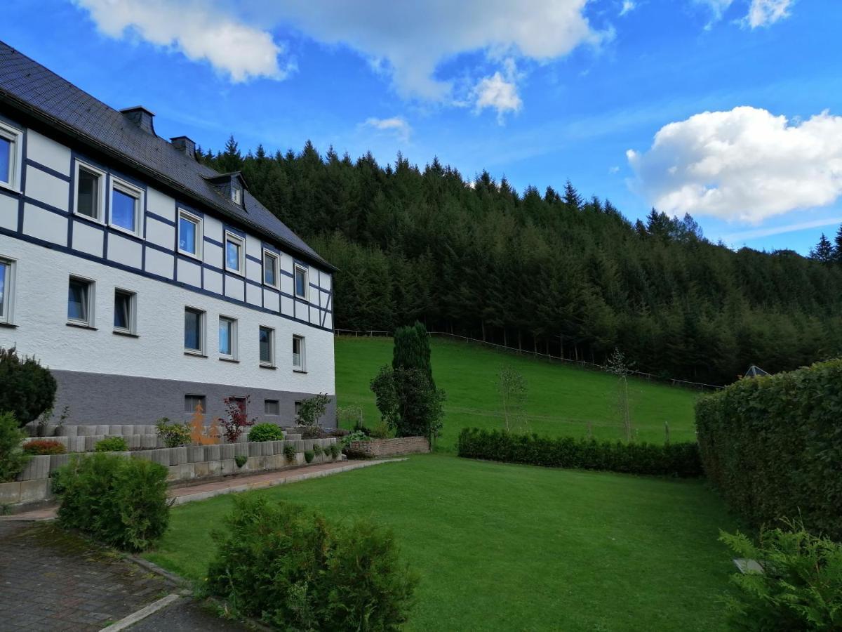 Modernisierte Ferienwohnung Im Schoenen Sauerland Мешеде Екстериор снимка